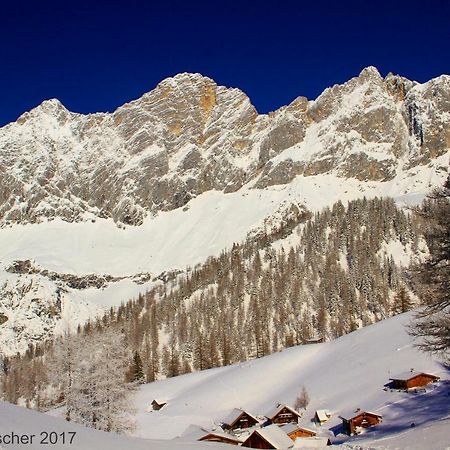 Haus Intaba Daire Ramsau am Dachstein Dış mekan fotoğraf